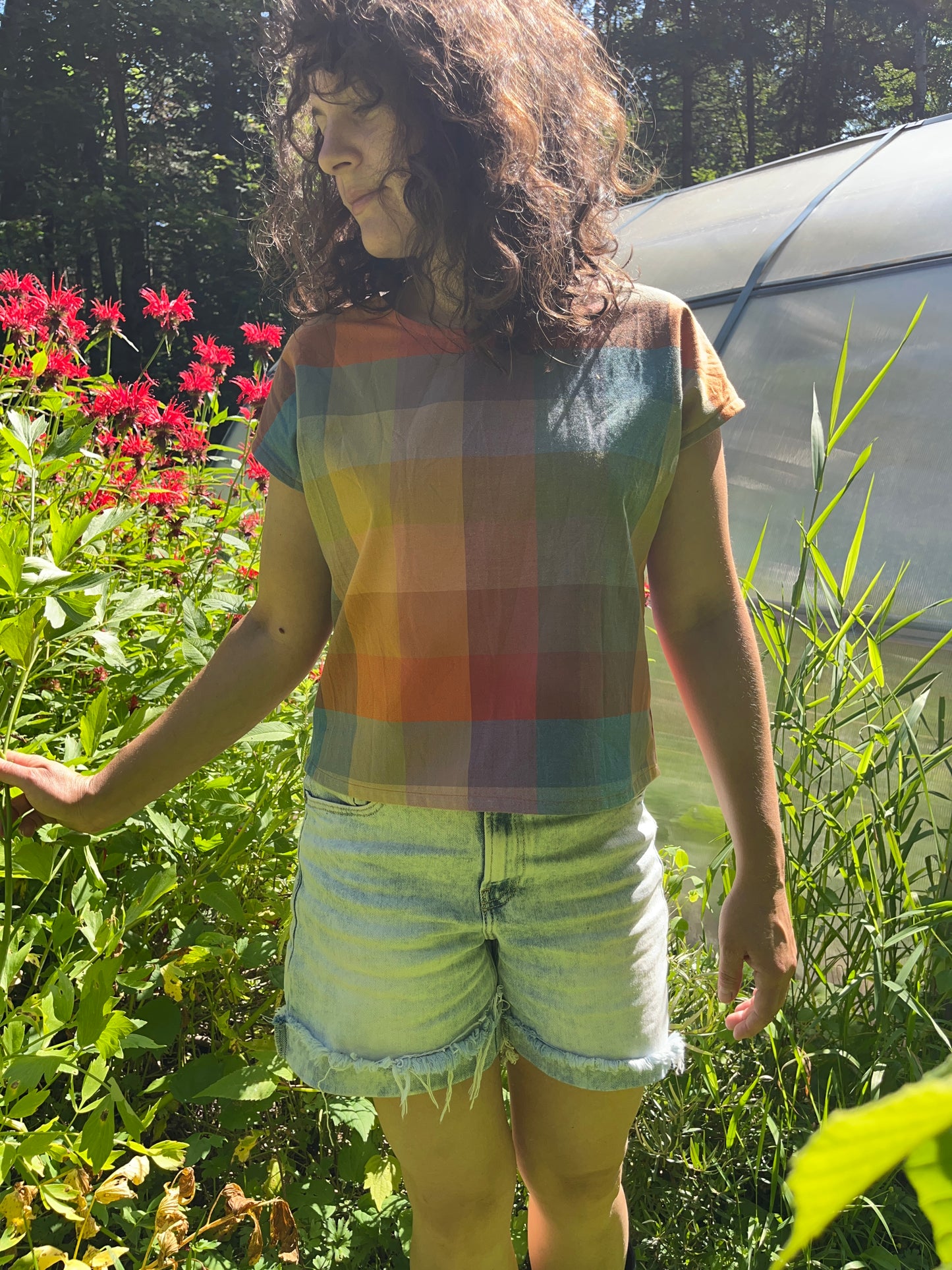 Boxy short sleeve- sunshine plaid cotton