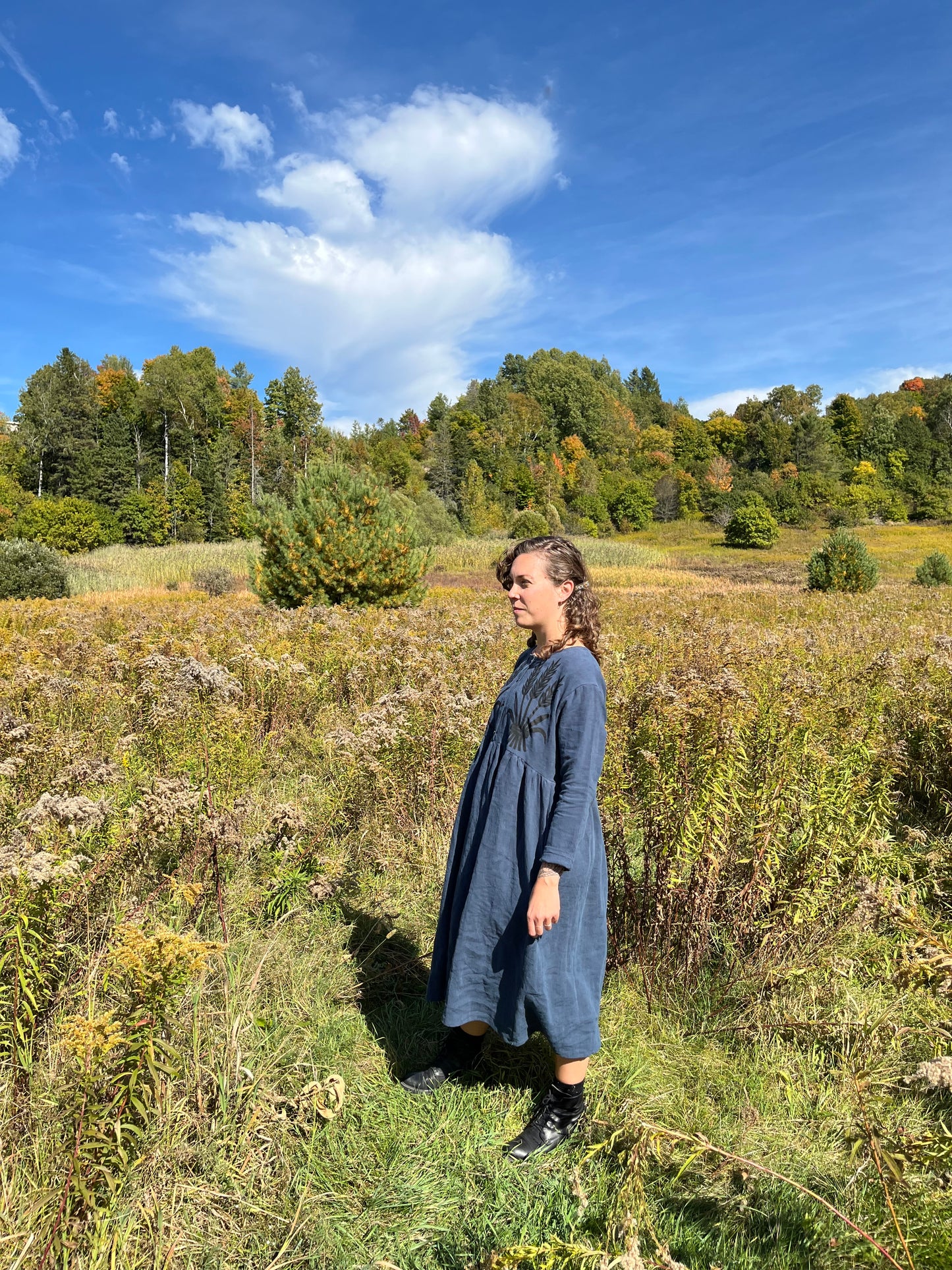 Wheat print button up dress- Indigo linen