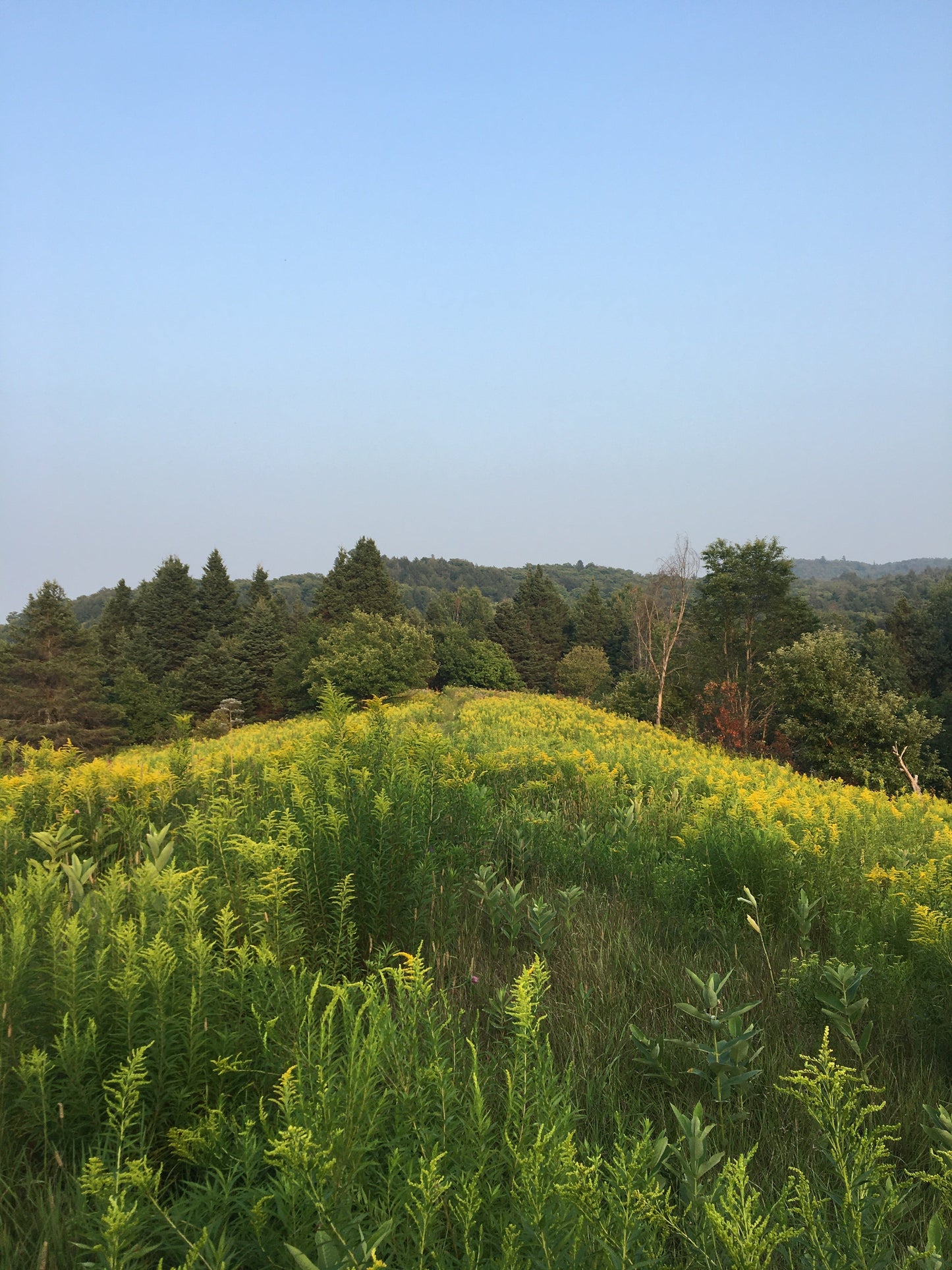 Craft en campagne- Private tufting workshop for TWO